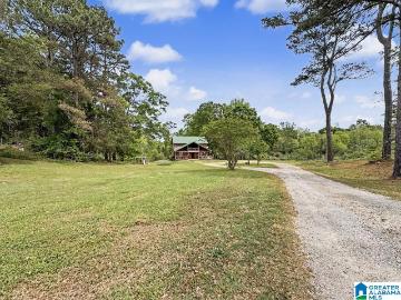 Hale County, Alabama, Alabama, USA - Fireplace