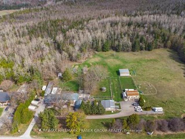 10246 Old Shiloh Road, Georgina, ON, L0E 1N0 house for sale | Listing ID N13572 | Royal LePage