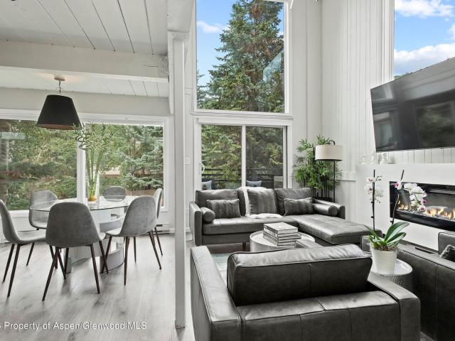 1024 E Cooper Avenue, 2, Aspen, CO