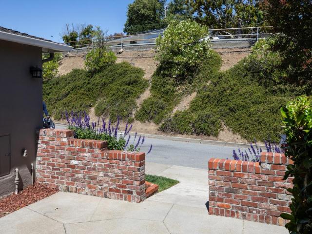 1029 Lupin Lower Way