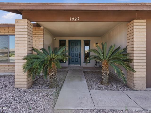1029 w carter drive