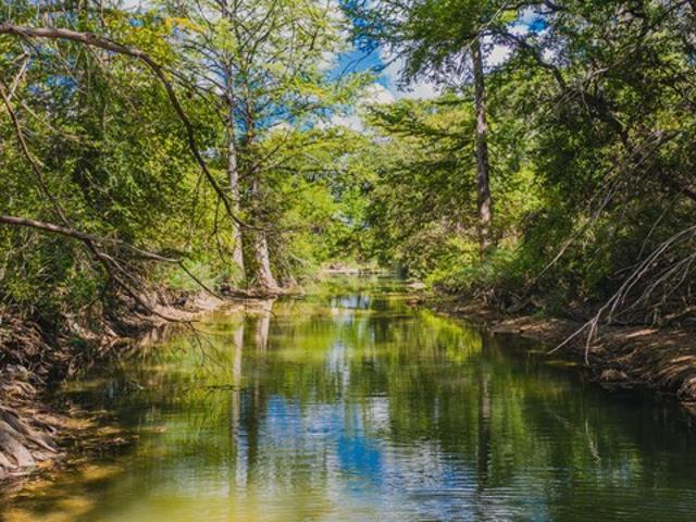 10207 Us Hwy 290