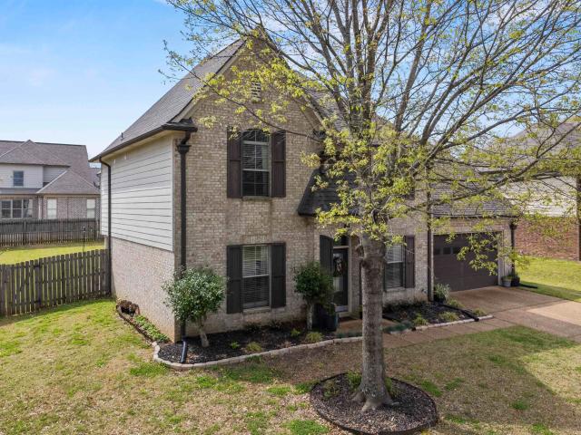 10213 carly dr