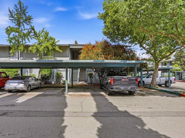 1036 Oak Grove Rd 81