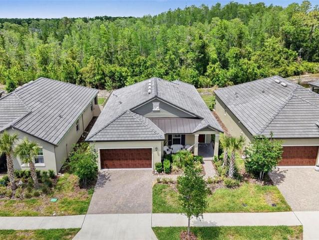 10395 Banyan Breeze Blvd, Land O Lakes, FL 34638 | MLS #TB8504