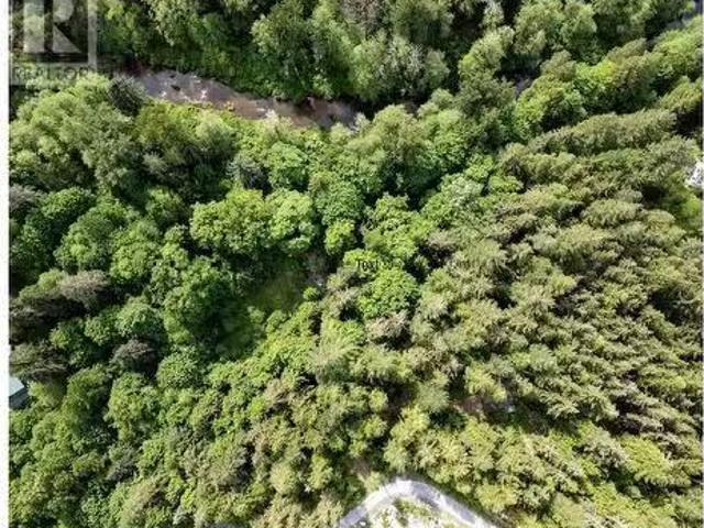 1030 S Rustad Road, Squamish, BC, V0N 2L2 vacant land for sa.