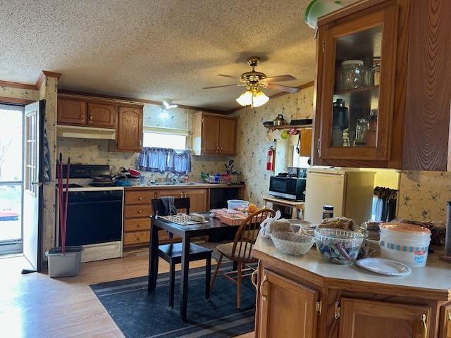 103 Frank Court