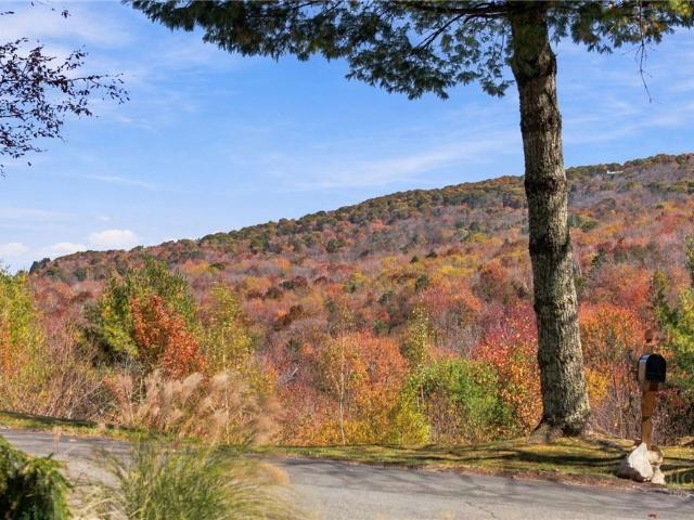 103 Upper Grouse Ridge Road