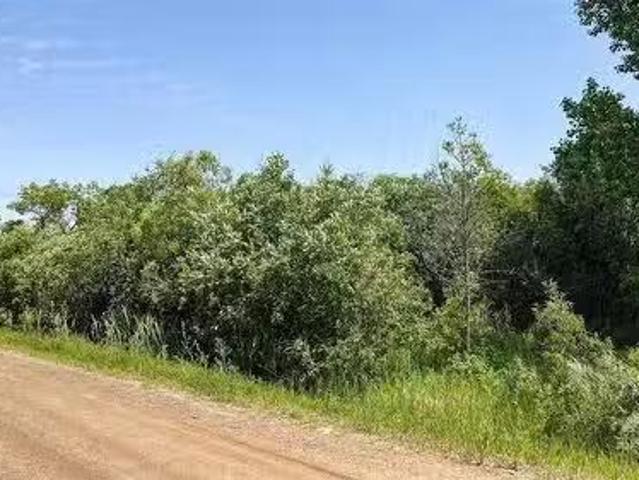 103 Victoria Drive, Alexander Rm, MB, R0E 2C0 vacant land fo.