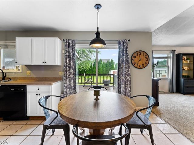 10460 Carrie Drive