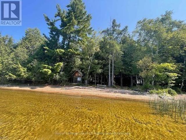 1046 Placid Lane, Algonquin Highlands Stanhope, ON, K0M 1S0 house for sale | Listing ID X13644 | Royal LePage