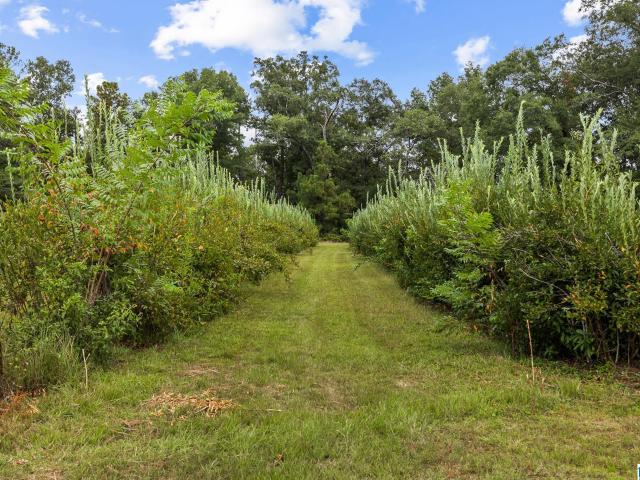 1049 County Road 108
