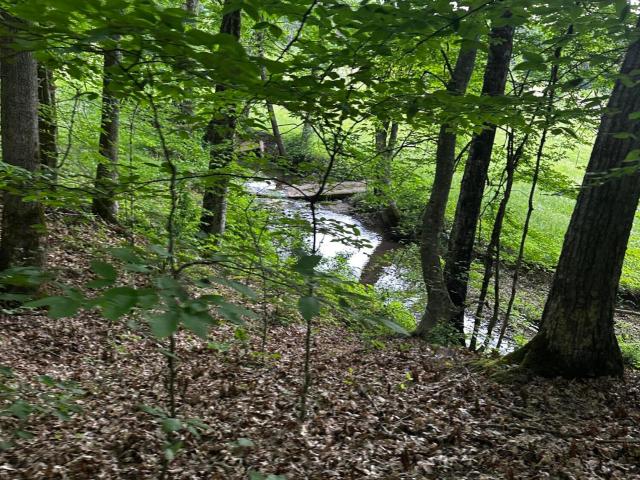 104 Dug Ridge Rd