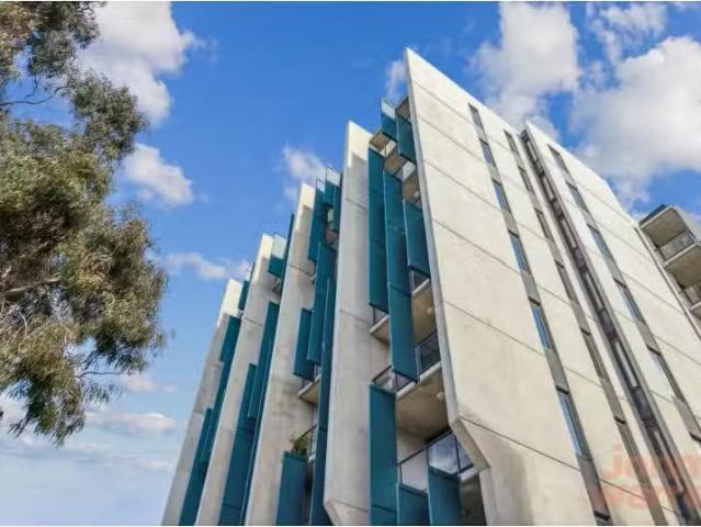 104A/241 Northbourne Avenue, Lyneham Apartment for rent Liste.