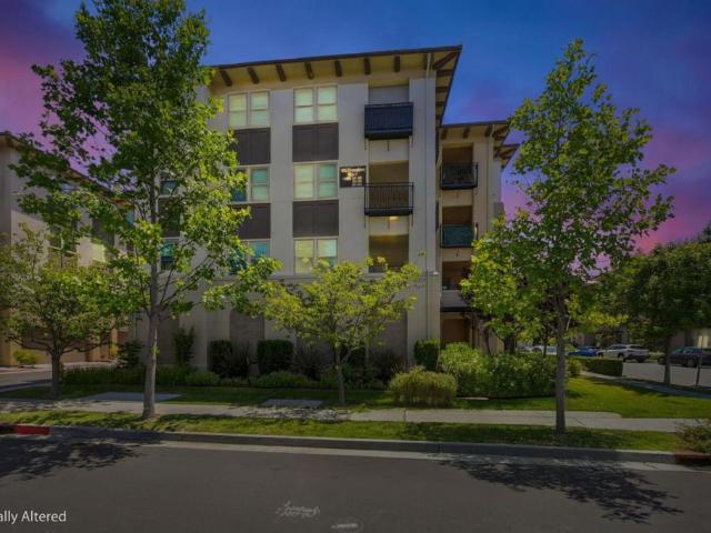 1057 Foxglove Place 203