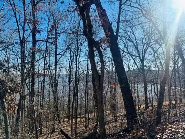 10532 RED BLUFF RD, GARFIELD, AR 72732