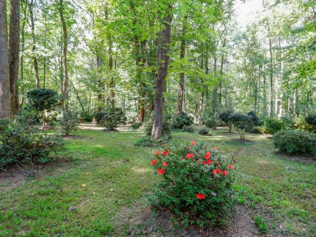 105 Old Forest Lane