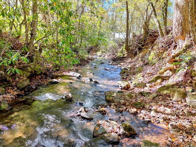1064 Muskrat Creek Rd, Hayesville, NC 28904 | MLS #429410