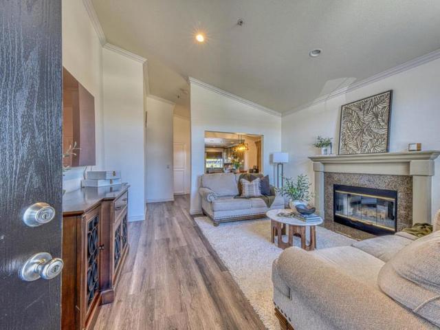 1066 Eagle Drive