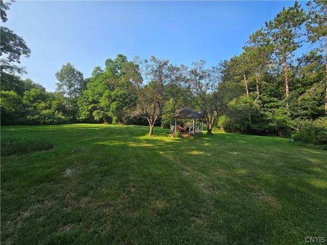 10629 Skaneateles