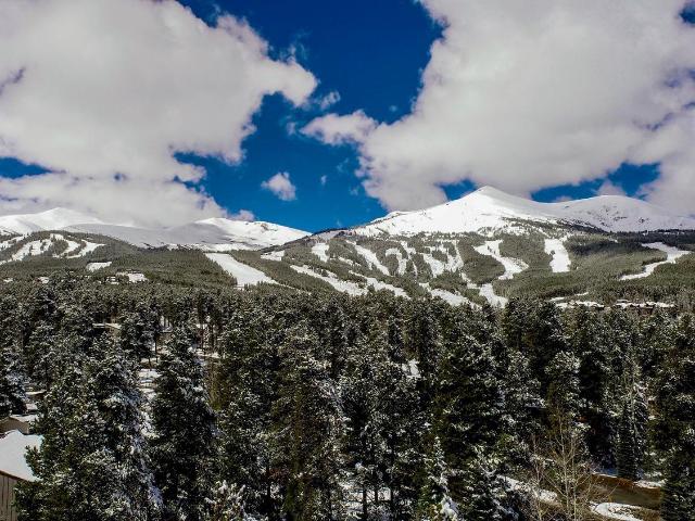 1075 Ski Hill Road # 46