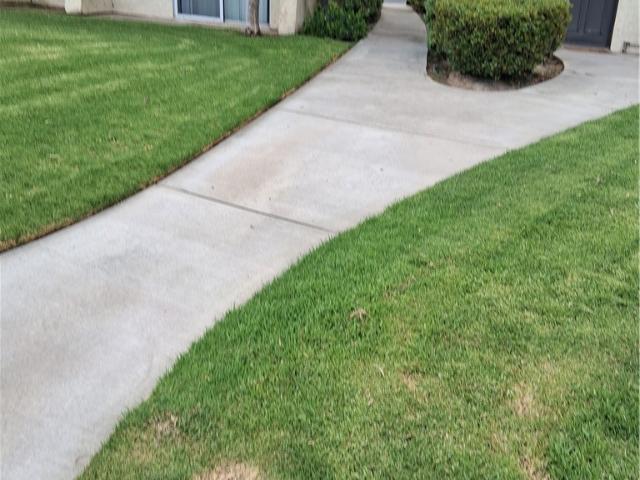 1077 S Santo Antonio Drive 4