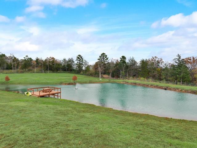 10794 County Road 334, Tyler, TX 75708 | MLS #25000