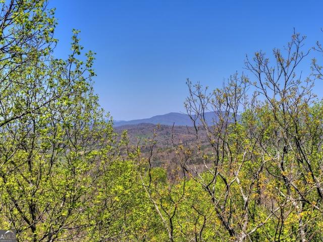 1073 Old Burnt Mountain Road