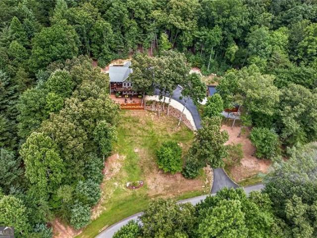 107 Old Birch Court