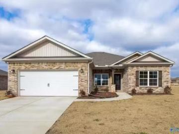 107 OLD DIRT RD, MERIDIANVILLE, AL 35759