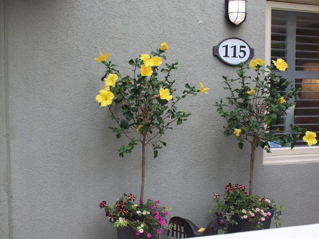 107 Wintergreen Place 115, ON, CA, Blue Mountains