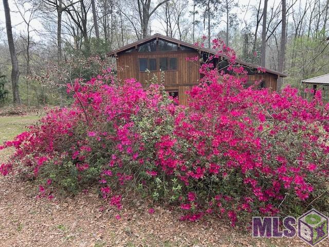 10894 Bains Rd, St. Francisville, LA 70775 | MLS #BR2026003