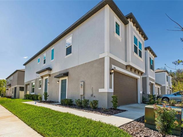 10811 Fowlers Blf Ct, Tampa, FL 33647 | MLS #TB8475