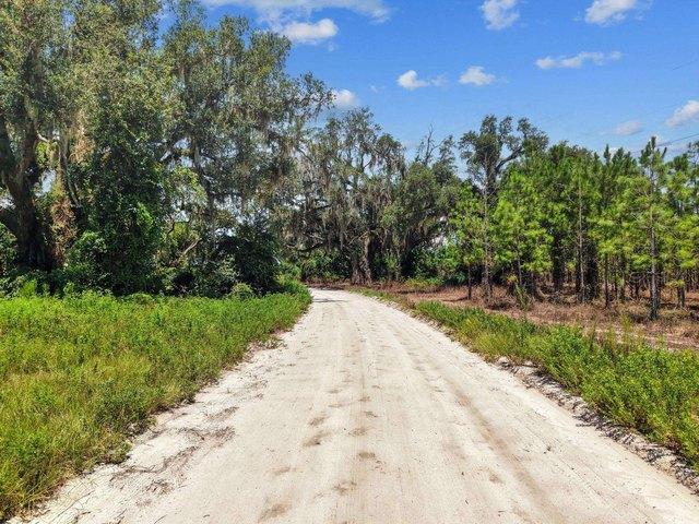 1083 Turlington Ln, Mayo, FL 32066