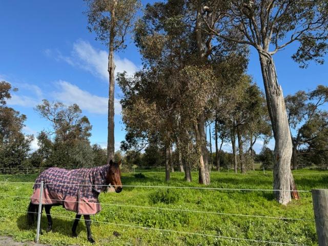 108 acres of exceptional versatility in Ludlow