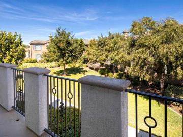 10910 Serafina Lane 52