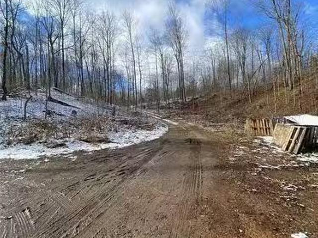 1091 Crystal Lake Road, Trent Lakes, ON, K0M 2A0 farm for sa.