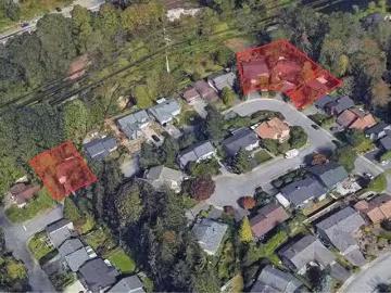 1091 Dolphin Street, Coquitlam, BC, V3C 4N3 house for sale.