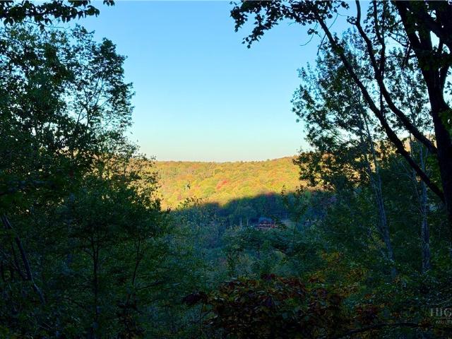 109 Foxgrape Hollow Road