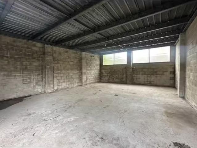 109 Falcon Street, Crows Nest House for rent Listed by Jamerl.