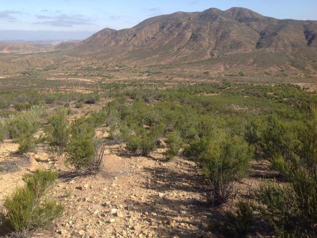 Terreno en Venta ? 109 Hect?reas sobre la Carretera Tecate?Ensenada