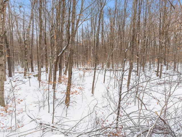 109 Rossman Hill Rd, Summit, NY 12175 | MLS #202530