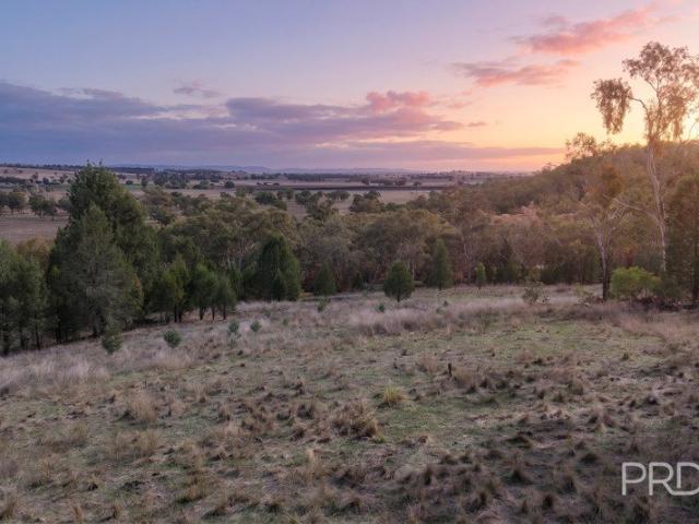 10.9 Acre Country Retreat Close To Quirindi