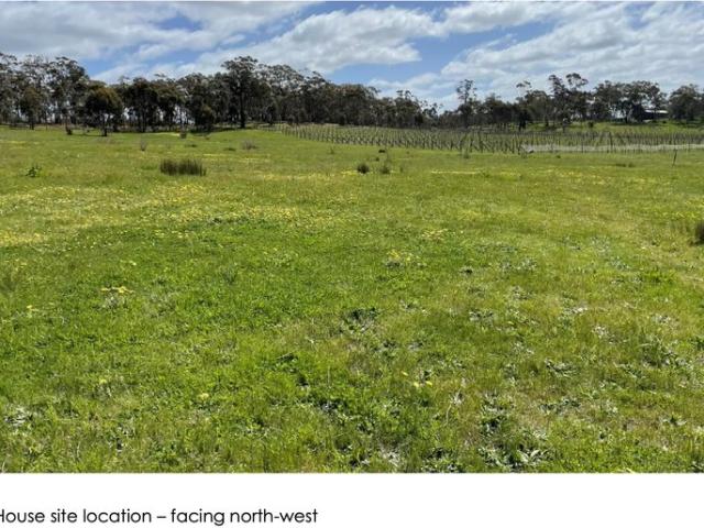 10.13ha Rural Property with Vineyard, Planning Permit & Town Services