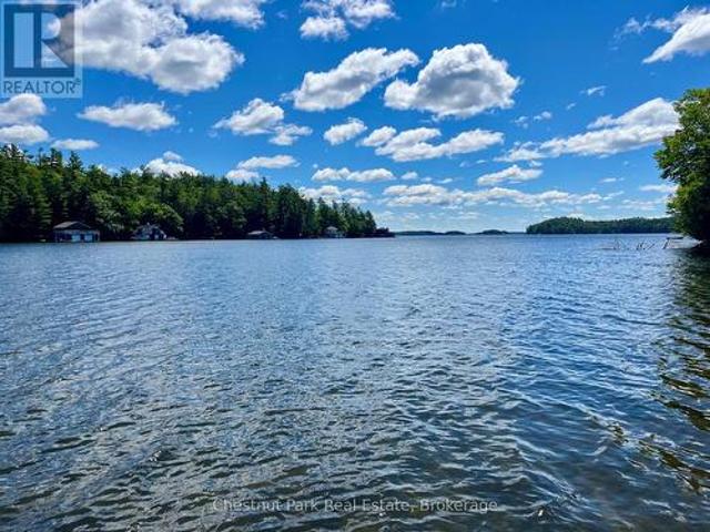 10 1211 Foreman Road S, Muskoka Lakes Medora, ON, P0B 1J0 house for sale | Listing ID X13480 | Royal LePage