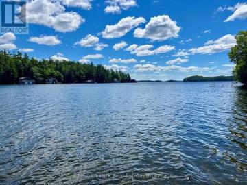 10 1211 Foreman Road S, Muskoka Lakes Medora, ON, P0B 1J0 house for sale | Listing ID X13480 | Royal LePage
