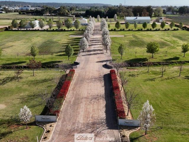 10,361m2 Perfect size when 4,000m2 approx. 1 acre, is not sufficient!