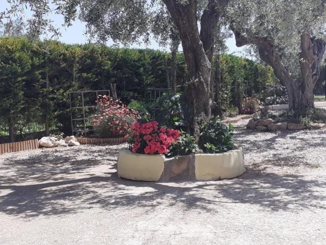 VIALE MAIELLA 10 vani 220mq