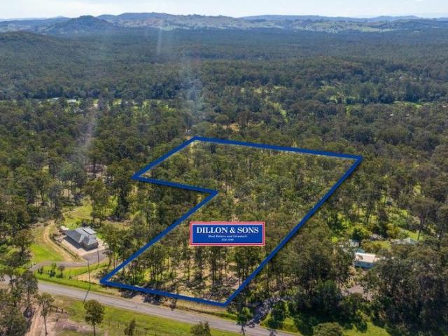 10 Vacant Acres Build, Create, Develop!