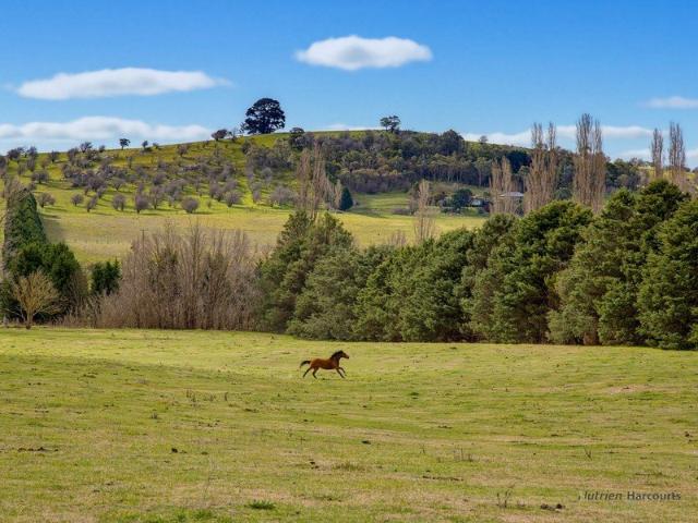 10 ACRES WITH TOWN SERVICES